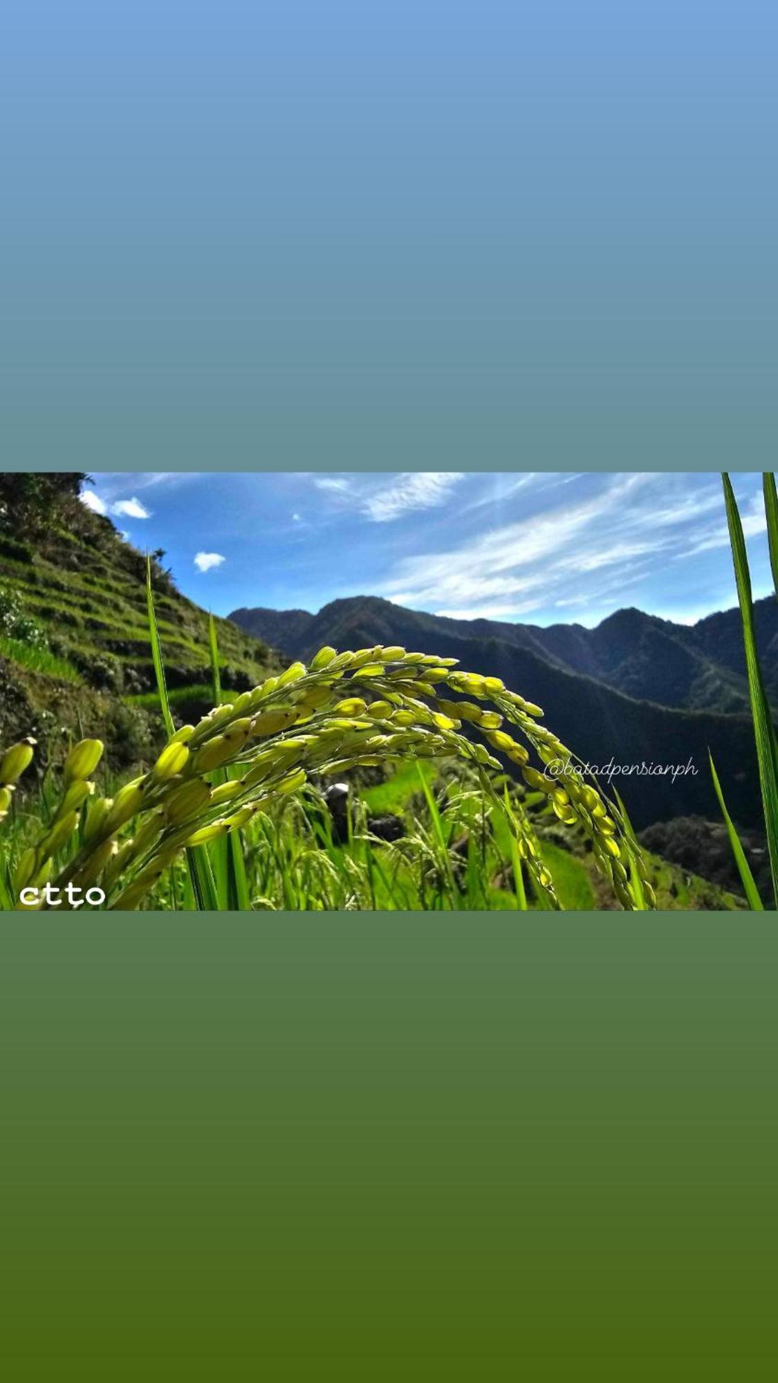 Batad Pension Ph Банаю Экстерьер фото
